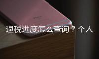 退税进度怎么查询？个人所得税汇算热点问答来啦！