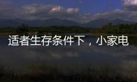 适者生存条件下，小家电品牌从细节入手控成本
