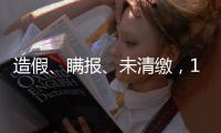 造假、瞒报、未清缴，141条碳市场罚单里的秘密