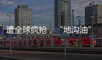 遭全球疯抢，“地沟油”变“黄金油”