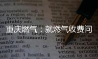 重庆燃气	：就燃气收费问题对相关责任人和部门追责问责
