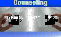 野猪等被“除名”，但不意味着可随意捕杀