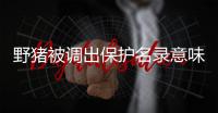 野猪被调出保护名录意味着什么
？