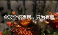 金玻全铝家居，只为有眼光的你而来!