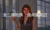 金三角枪族：盘点缅甸边境的自制武器