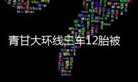 青甘大环线三车12胎被扎�
，官方通报：两人被抓