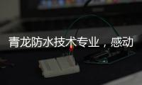 青龙防水技术专业，感动业主获赠锦旗