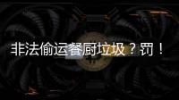 非法偷运餐厨垃圾？罚！