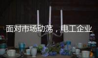 面对市场动荡	
，电工企业要适应环境变化