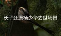 长子还原杨少华去世场景！头晕送医半路离世
，杨议隐瞒细节惹争议