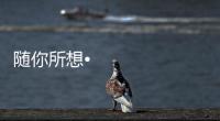 随你所想•体验未来丨海信照明系统
，照亮你的生活