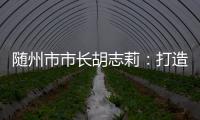随州市市长胡志莉
：打造汉襄宜“金三角”重要节点城市丨中国市长说