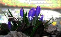 雷士这款“小”巧可爱的灯，居然有“大”作用