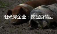 阳光房企业：挖掘疫情后商机争夺回暖后市场