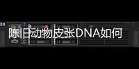 陈旧动物皮张DNA如何获取
？ 最新研究称改良方法值得推广