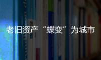 快排公司十年历程，霸屏兔 seo 的崛起与坚守