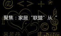 聚焦	：家居“联盟”从“现象”变成“刚需”