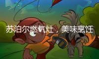苏泊尔燃气灶，美味烹饪开启低碳生活