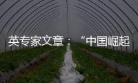 英专家文章	：“中国崛起见顶”是西方一厢情愿