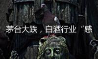 茅台大跌，白酒行业“感受到冷气”