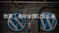 致敬！去年全国公安机关382名民辅警因公牺牲