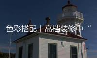 快排公司十年历程，霸屏兔 seo 的崛起与坚守
