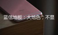 蓝信地板：大地色，不显眼
，却很高级