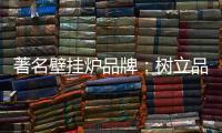 著名壁挂炉品牌�：树立品牌形象 建立服务体系