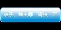 蚊子、蜱虫等“害虫”开始活跃，这份防虫全攻略请收好