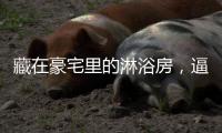 快排公司十年历程，霸屏兔 seo 的崛起与坚守