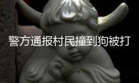 警方通报村民撞到狗被打
：5名嫌疑人到案 犬主曾任村干部