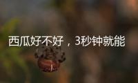 西瓜好不好，3秒钟就能验！验瓜师有啥技巧
	？