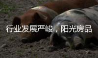 行业发展严峻，阳光房品牌该怎么办?