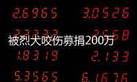 被烈犬咬伤募捐200万争议：医院称未开证明
，轻松筹称家属自估金额