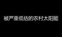 快排公司十年历程，霸屏兔 seo 的崛起与坚守