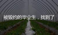 被毁约的毕业生	，找到了更好的工作丨记者手记