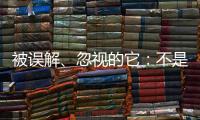 被误解
、忽视的它：不是凉拌菜
，退化形势严峻｜世界海草日