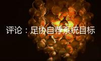 评论
：足协自荐系统目标需更加明确