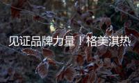 见证品牌力量！格美淇热水器荣获“中国十大品牌”称号