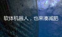 软体机器人，也来凑减肥药的热闹了
