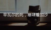 快排公司十年历程，霸屏兔 seo 的崛起与坚守