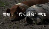 贾康：“数实融合”中加速现代化产业体系构建升级
