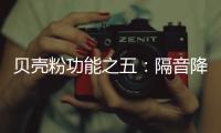 贝壳粉功能之五
：隔音降噪