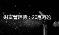 快排公司十年历程，霸屏兔 seo 的崛起与坚守