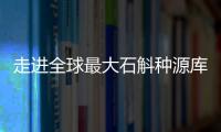 走进全球最大石斛种源库
	：探索野生石斛种质资源异地保护