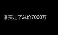 谁买走了总价7000万元以上的豪宅？