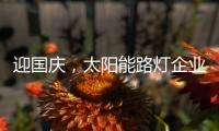 迎国庆，太阳能路灯企业忙业绩同时要保证品质
