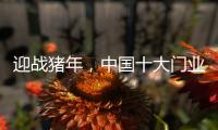 迎战猪年，中国十大门业品牌深耕精众圈子