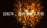 迎蛇年	，选将军牌生态板
，共筑健康环保家居梦
