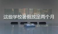快排公司十年历程，霸屏兔 seo 的崛起与坚守